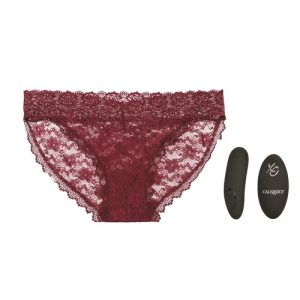 Remote Control Lace Panty Set